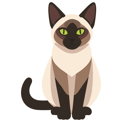 Cat Lovers Theme Siamese Cat Transparent Sticker